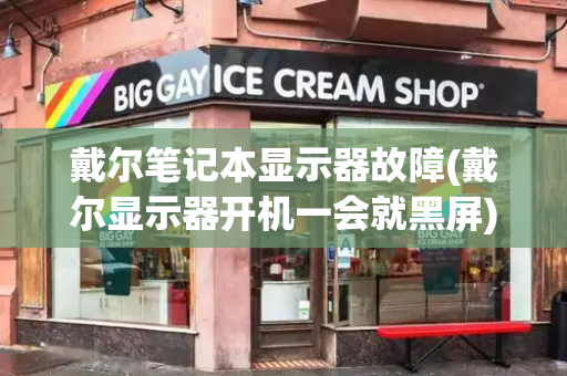 戴尔笔记本显示器故障(戴尔显示器开机一会就黑屏)-第1张图片-星选测评