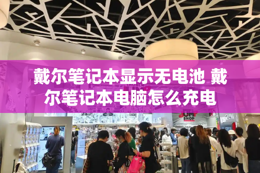 戴尔笔记本显示无电池 戴尔笔记本电脑怎么充电-第1张图片-星选测评