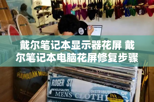 戴尔笔记本显示器花屏 戴尔笔记本电脑花屏修复步骤图