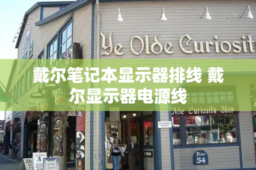 戴尔笔记本显示器排线 戴尔显示器电源线