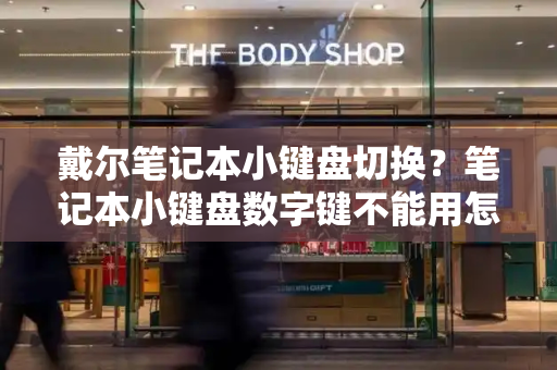 戴尔笔记本小键盘切换？笔记本小键盘数字键不能用怎么办-第1张图片-星选测评