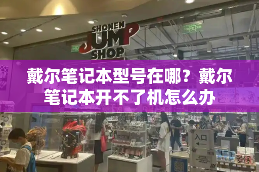 戴尔笔记本型号在哪？戴尔笔记本开不了机怎么办-第1张图片-星选测评