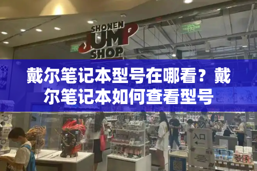 戴尔笔记本型号在哪看？戴尔笔记本如何查看型号-第1张图片-星选测评