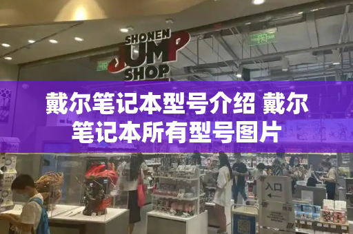 戴尔笔记本型号介绍 戴尔笔记本所有型号图片-第1张图片-星选测评
