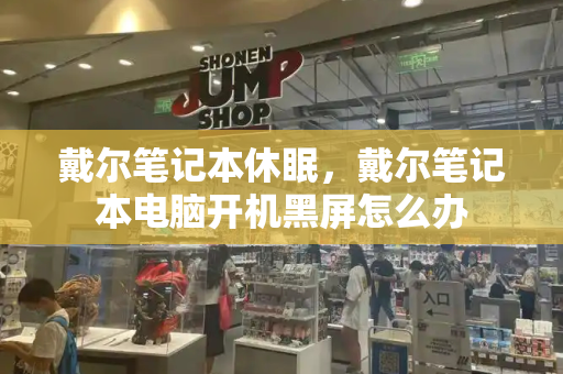 戴尔笔记本休眠，戴尔笔记本电脑开机黑屏怎么办-第1张图片-星选测评