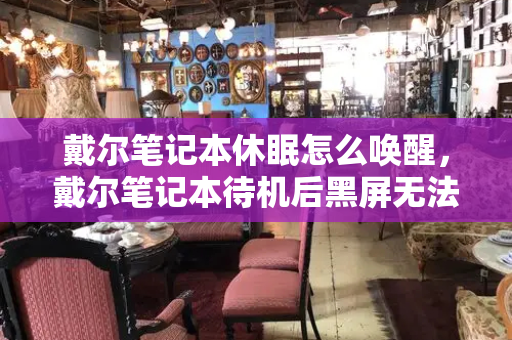 戴尔笔记本休眠怎么唤醒，戴尔笔记本待机后黑屏无法唤醒-第1张图片-星选测评