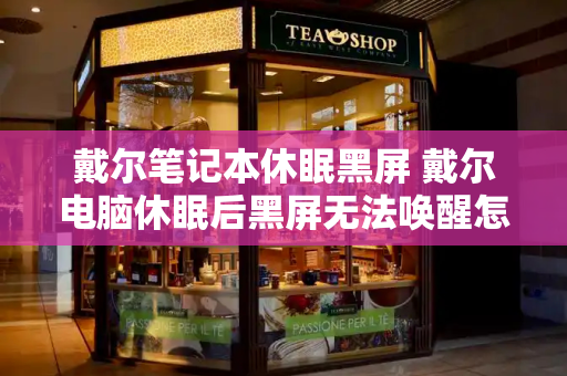 戴尔笔记本休眠黑屏 戴尔电脑休眠后黑屏无法唤醒怎么办-第1张图片-星选测评