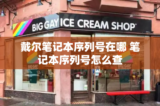 戴尔笔记本序列号在哪 笔记本序列号怎么查-第1张图片-星选测评