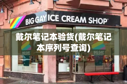戴尔笔记本验货(戴尔笔记本序列号查询)-第1张图片-星选测评