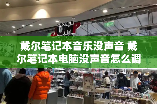 戴尔笔记本音乐没声音 戴尔笔记本电脑没声音怎么调出来