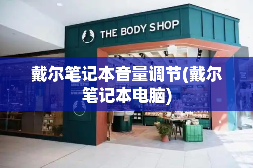 戴尔笔记本音量调节(戴尔笔记本电脑)-第1张图片-星选测评