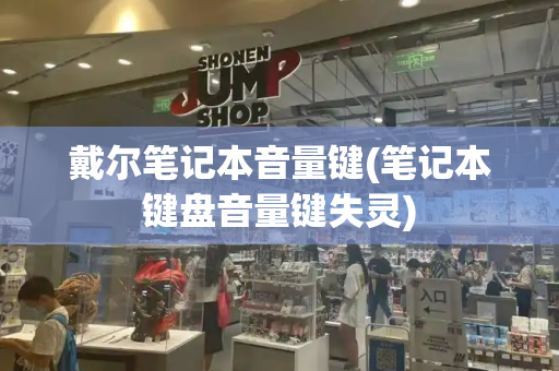 戴尔笔记本音量键(笔记本键盘音量键失灵)-第1张图片-星选测评