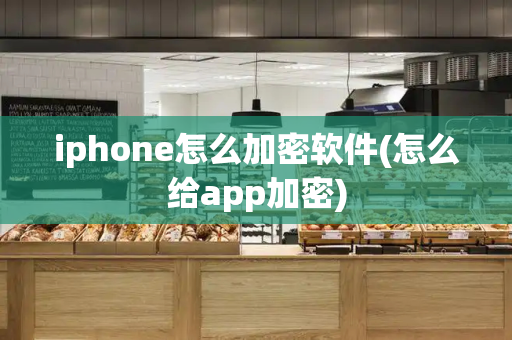 iphone怎么加密软件(怎么给app加密)-第1张图片-星选测评
