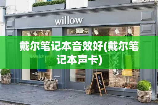 戴尔笔记本音效好(戴尔笔记本声卡)-第1张图片-星选测评