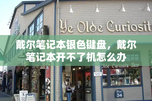 戴尔笔记本银色键盘，戴尔笔记本开不了机怎么办-第1张图片-星选测评