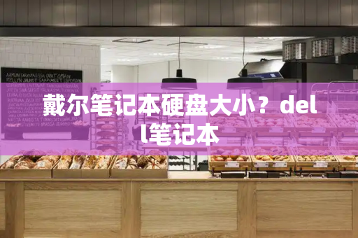 戴尔笔记本硬盘大小？dell笔记本-第1张图片-星选测评