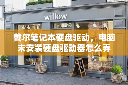戴尔笔记本硬盘驱动，电脑未安装硬盘驱动器怎么弄-第1张图片-星选测评