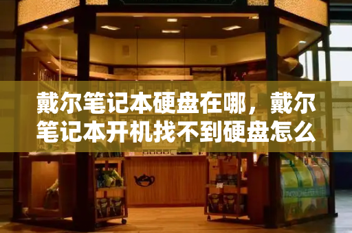 戴尔笔记本硬盘在哪，戴尔笔记本开机找不到硬盘怎么办