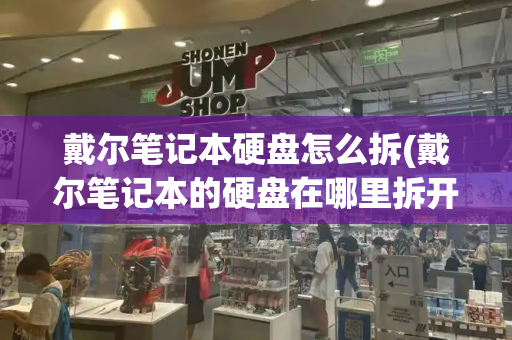 戴尔笔记本硬盘怎么拆(戴尔笔记本的硬盘在哪里拆开)-第1张图片-星选测评