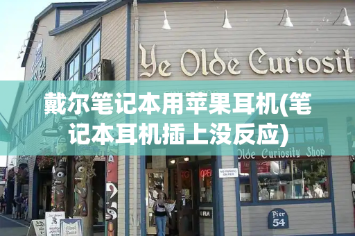 戴尔笔记本用苹果耳机(笔记本耳机插上没反应)-第1张图片-星选测评