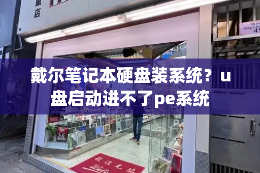 戴尔笔记本硬盘装系统？u盘启动进不了pe系统-第1张图片-星选测评