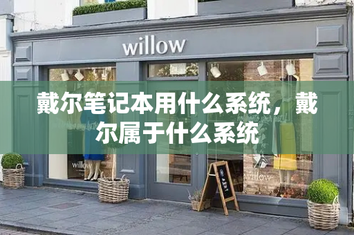 戴尔笔记本用什么系统，戴尔属于什么系统