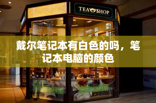 戴尔笔记本有白色的吗，笔记本电脑的颜色-第1张图片-星选测评