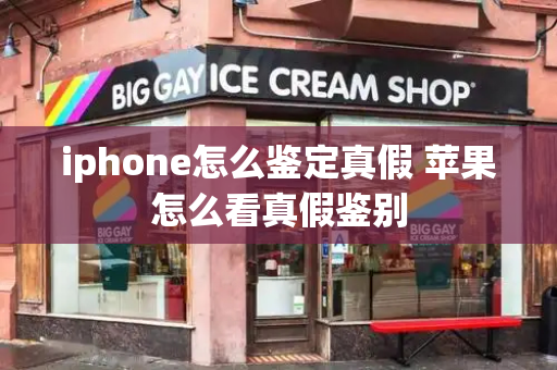 iphone怎么鉴定真假 苹果怎么看真假鉴别-第1张图片-星选测评