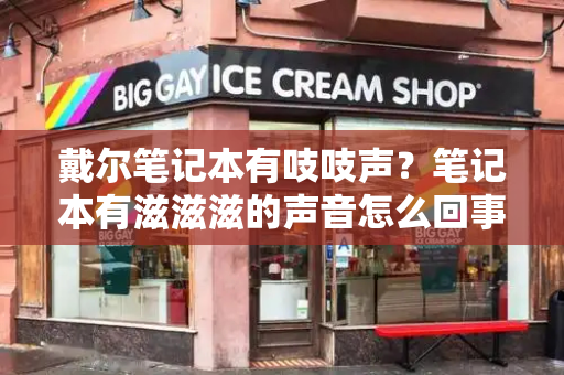 戴尔笔记本有吱吱声？笔记本有滋滋滋的声音怎么回事