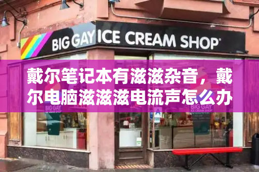 戴尔笔记本有滋滋杂音，戴尔电脑滋滋滋电流声怎么办-第1张图片-星选测评