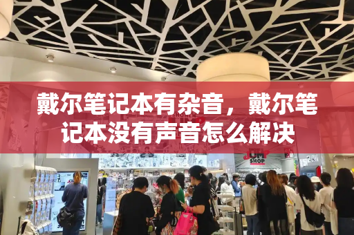 戴尔笔记本有杂音，戴尔笔记本没有声音怎么解决