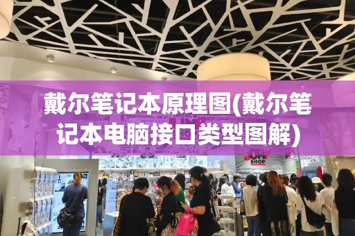 戴尔笔记本原理图(戴尔笔记本电脑接口类型图解)-第1张图片-星选测评