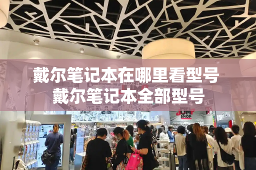 戴尔笔记本在哪里看型号 戴尔笔记本全部型号-第1张图片-星选测评