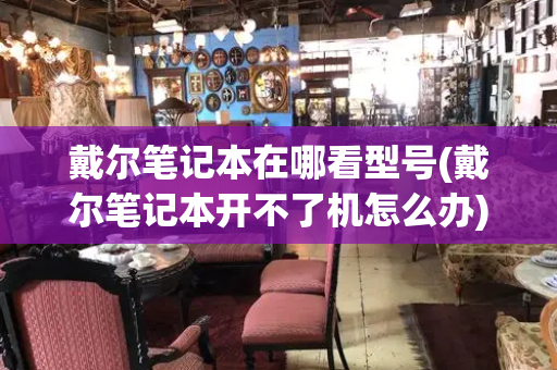 戴尔笔记本在哪看型号(戴尔笔记本开不了机怎么办)