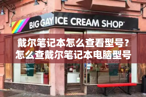 戴尔笔记本怎么查看型号？怎么查戴尔笔记本电脑型号和配置