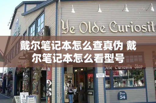 戴尔笔记本怎么查真伪 戴尔笔记本怎么看型号-第1张图片-星选测评