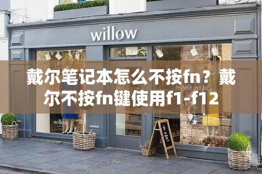 戴尔笔记本怎么不按fn？戴尔不按fn键使用f1-f12-第1张图片-星选测评