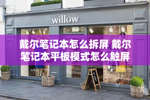 戴尔笔记本怎么拆屏 戴尔笔记本平板模式怎么触屏-第1张图片-星选测评