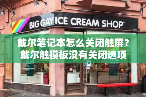 戴尔笔记本怎么关闭触屏？戴尔触摸板没有关闭选项-第1张图片-星选测评