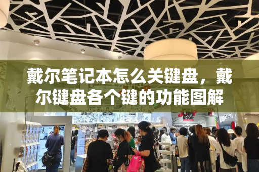 戴尔笔记本怎么关键盘，戴尔键盘各个键的功能图解-第1张图片-星选测评