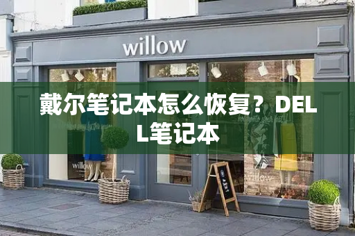 戴尔笔记本怎么恢复？DELL笔记本-第1张图片-星选测评
