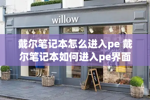 戴尔笔记本怎么进入pe 戴尔笔记本如何进入pe界面-第1张图片-星选测评