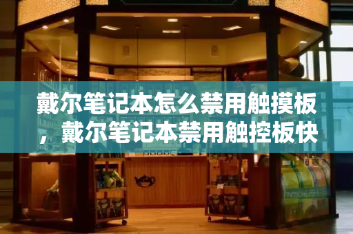 戴尔笔记本怎么禁用触摸板，戴尔笔记本禁用触控板快捷键-第1张图片-星选测评