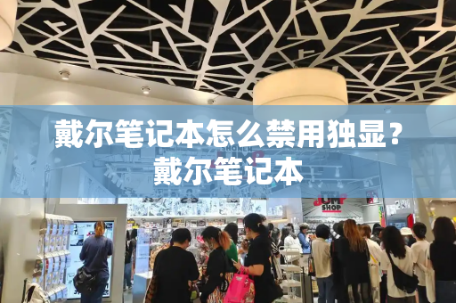 戴尔笔记本怎么禁用独显？戴尔笔记本-第1张图片-星选测评