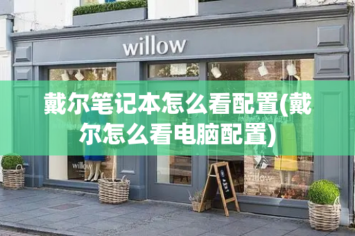 戴尔笔记本怎么看配置(戴尔怎么看电脑配置)-第1张图片-星选测评