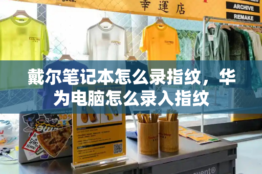 戴尔笔记本怎么录指纹，华为电脑怎么录入指纹-第1张图片-星选测评
