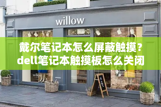 戴尔笔记本怎么屏蔽触摸？dell笔记本触摸板怎么关闭和开启
