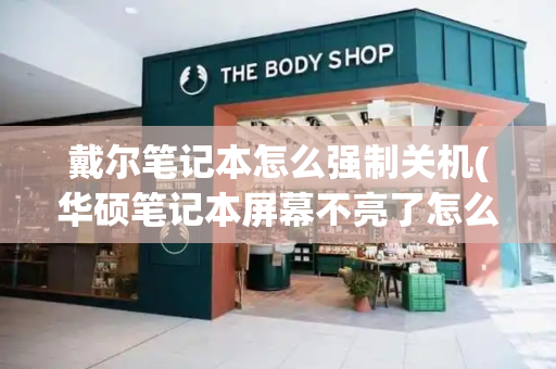 戴尔笔记本怎么强制关机(华硕笔记本屏幕不亮了怎么解决)-第1张图片-星选测评