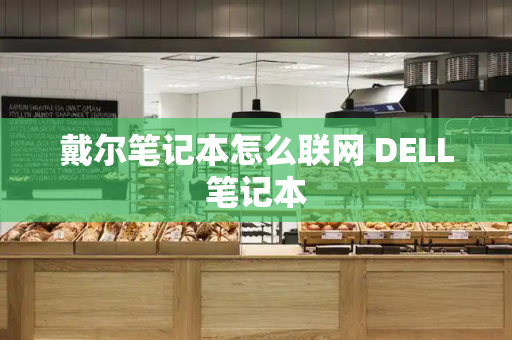 戴尔笔记本怎么联网 DELL笔记本