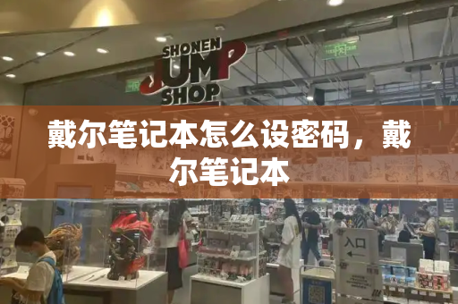 戴尔笔记本怎么设密码，戴尔笔记本